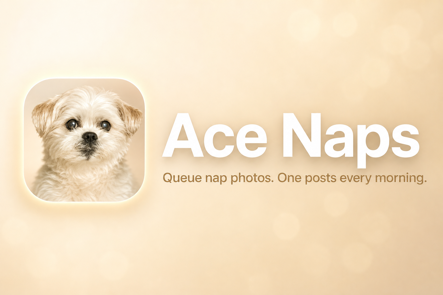Ace Naps Posts