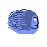 Wisp original